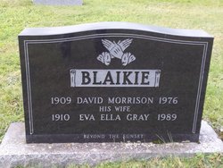 David Morrison Blaikie Jr.