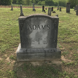 John William Edward Adams 