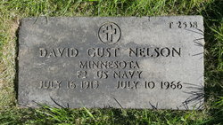 David Gust Nelson 