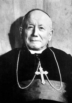 Cardinal Jules Géraud Saliège 