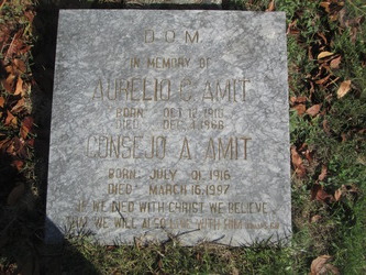 Aurelio C Amit 