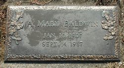 Anna Mary <I>Overdorf</I> Baldwin 
