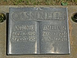 Amelia R Cassinelli 