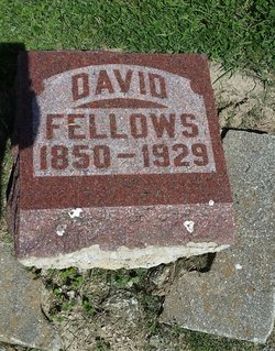 David Fellows 