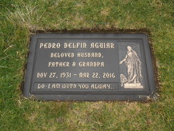 Pedro Delfin Aguiar 