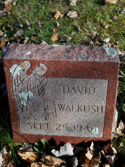 David Walkush 