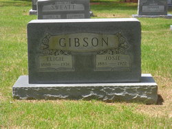 Josie Ann <I>Whitson</I> Gibson 