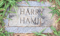 Harry Hamic 