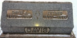 David James Davis 