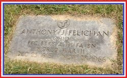 Anthony J. Felicijan 