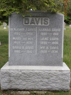 Benjamin J Davis 