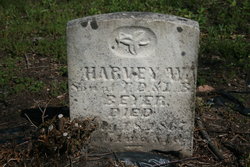 Harvey W. Beyer 
