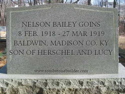 Nelson Bailey Goins 