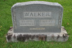 Alla P. Walker 