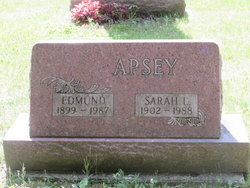 Sarah L. Apsey 