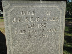 Louise Allen 