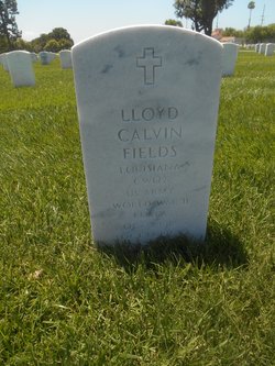 Lloyd Calvins Fields 