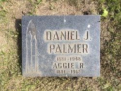 Daniel J Palmer 