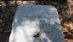 Charles Albert Noyes 