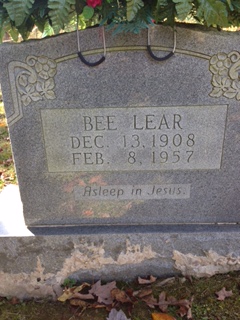 Bee Lear 