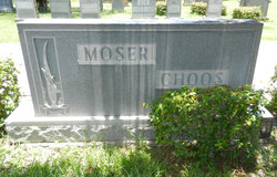 Dr A. Albert Moser 