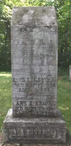 Lars A. Aamold 