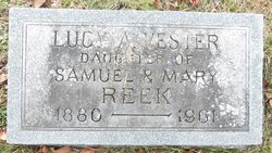 Lucy A <I>Reek</I> Vester 