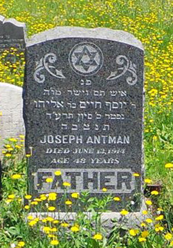 Joseph Antman 