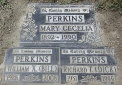 Mary Cecelia <I>Biner</I> Perkins 