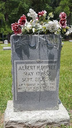 Albert H Dupree 
