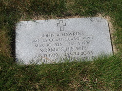 John A Hawkins 