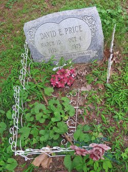 David E Price 