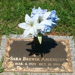 Sara Elizabeth <I>Brewer</I> Abernethy 