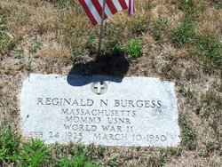 Reginald N Burgess 