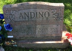 William Andino Jr.