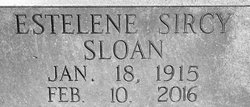 Estelene <I>Sircy</I> Sloan 