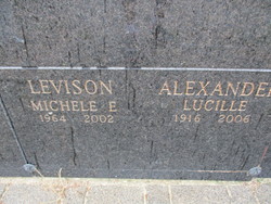 Michele Elizabeth <I>Minnes</I> Levison 
