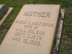 Mabel C <I>Anderson</I> Wilson 
