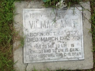Vilma T Amit 