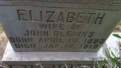 Elizabeth “Lizzie” Blevins 