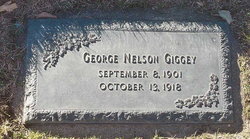 George Nelson Giggey 