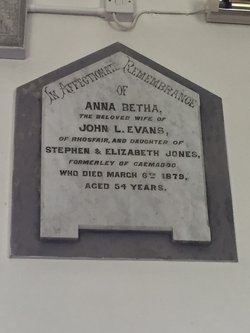 Anna Bertha <I>Jones</I> Evans 