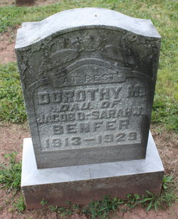 Dorothy M Benfer 