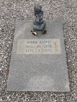 Mark Lupo 