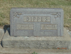 August Frederick Bippes 