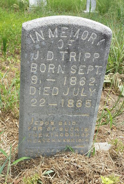 Jefferson Davis Tripp 