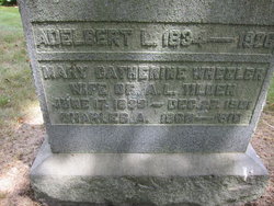 Adelbert L. Tilden 