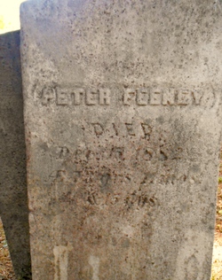 Peter Feeney 