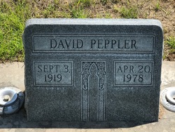 David Peppler 