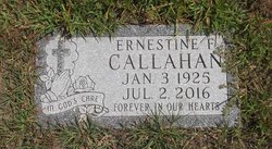 Ernestine Fay <I>Colgate</I> Callahan 